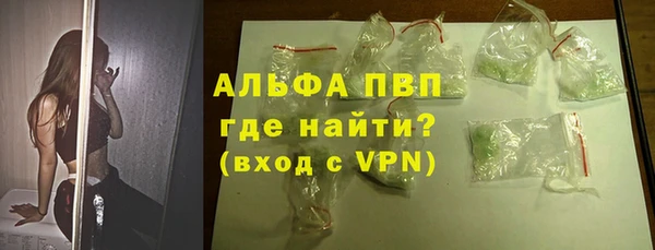 индика Новокубанск