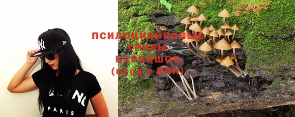 герыч Новозыбков