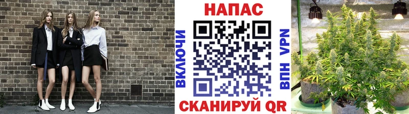 omg зеркало  Берёзовка  Марихуана OG Kush 